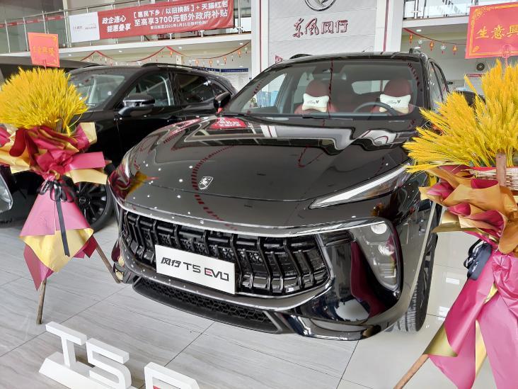 2024款风行T5 EVO星空版上市 售12.49万元