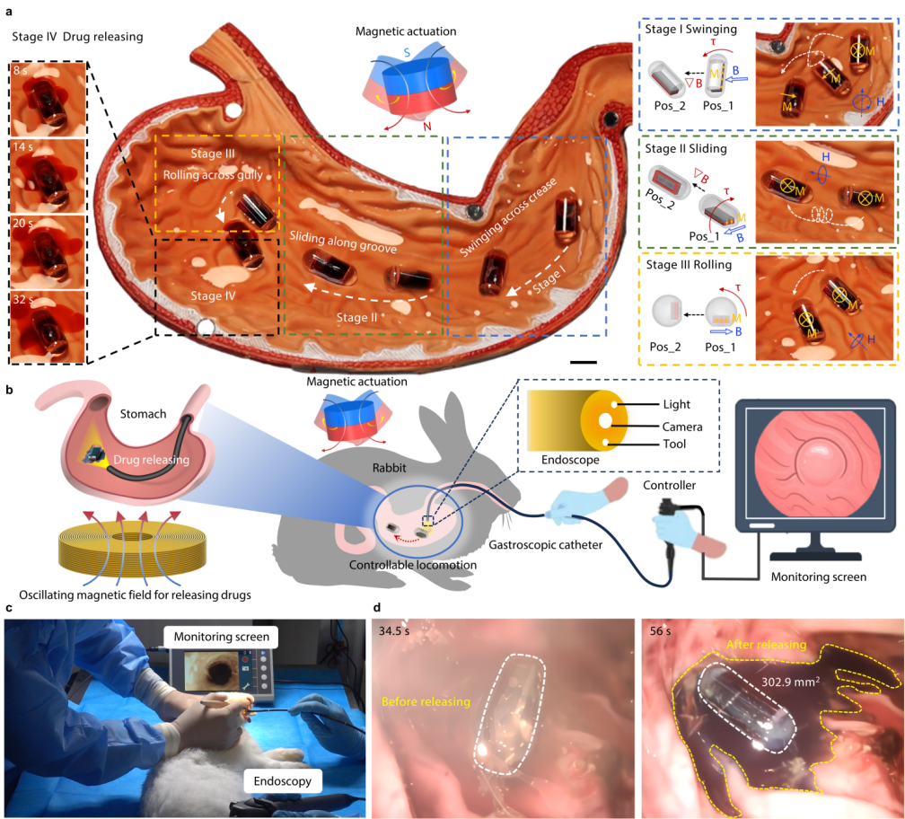 华中科技大学开发监控机器人 有利于下肢肌无力患者康复