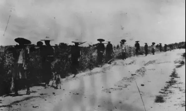 刚过上好日子，MPV就崩了？丨苦斗182天