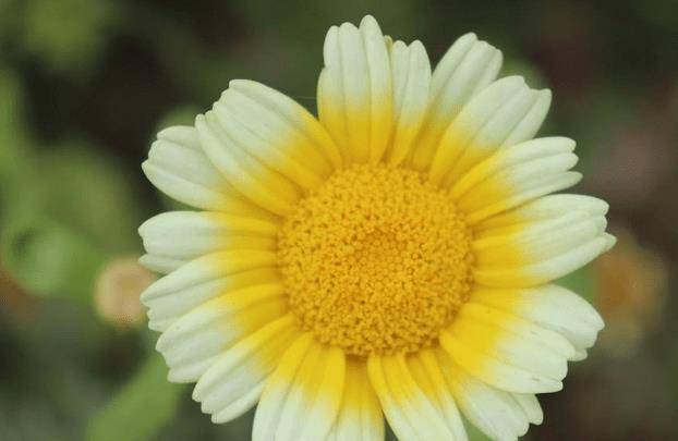 五菱，没有同路人