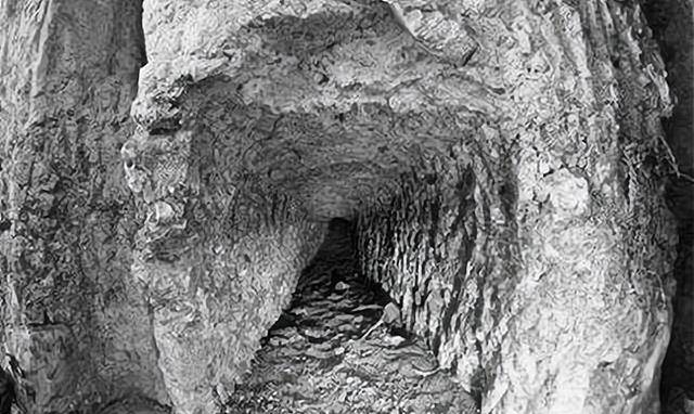 波兰研究人员发现废旧锂离子电池的新用途：生产过氧化氢