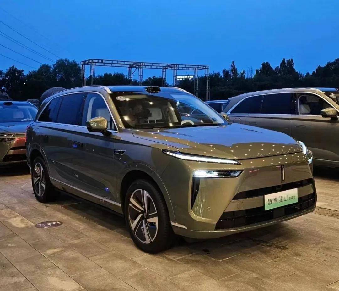 善于拉帮手，救了长城智驾？