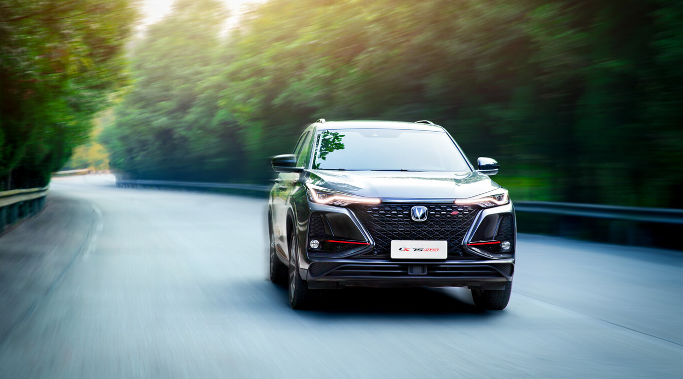 2024年12月TOP30 SUV销量投诉量对应点评