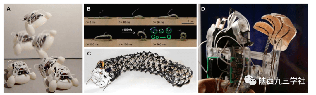 新加坡科技设计大学发明3D打印策略 可升级软体机器人并延长其使用寿命