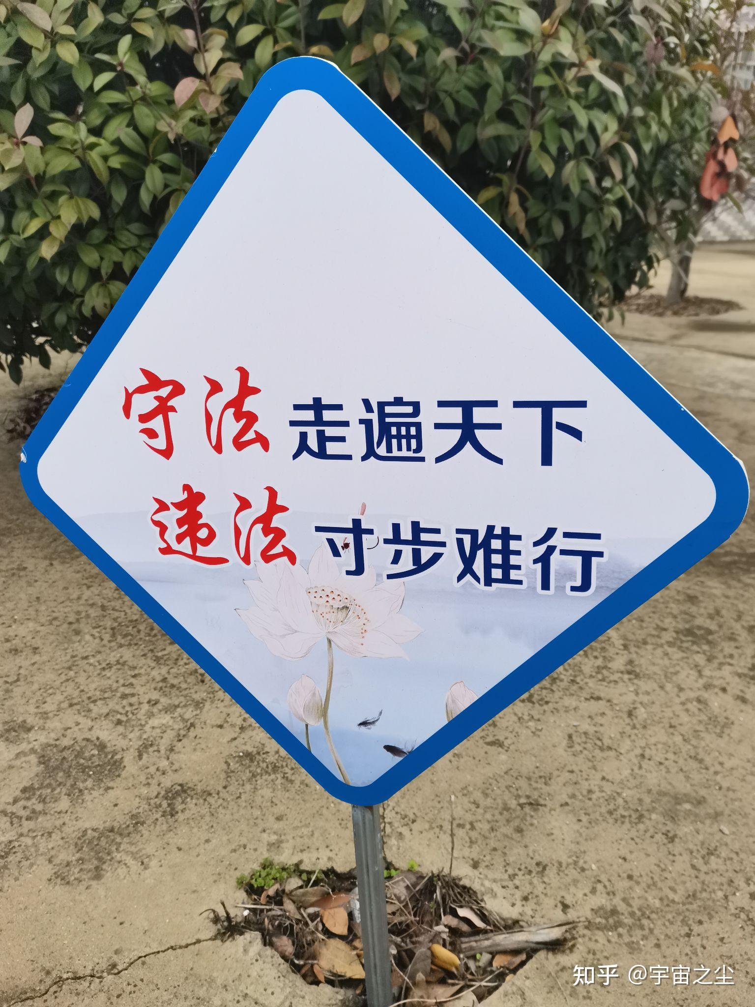 NOA加速普及,安全才是核心竞争力