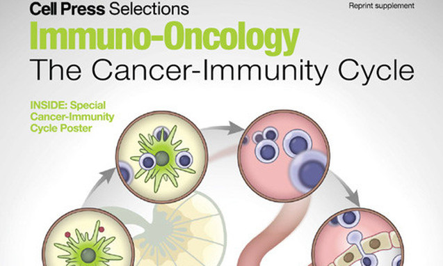 迈入“1TWh”时代后:动力电池的“生存战”