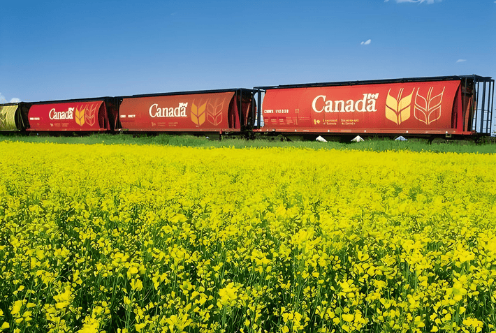 【国际快讯】加拿大威胁对1050亿美元美国产品征税；特斯拉中国计划暂停生产部分新版Model Y；斯柯达2024年全球销量同比上涨6.9%