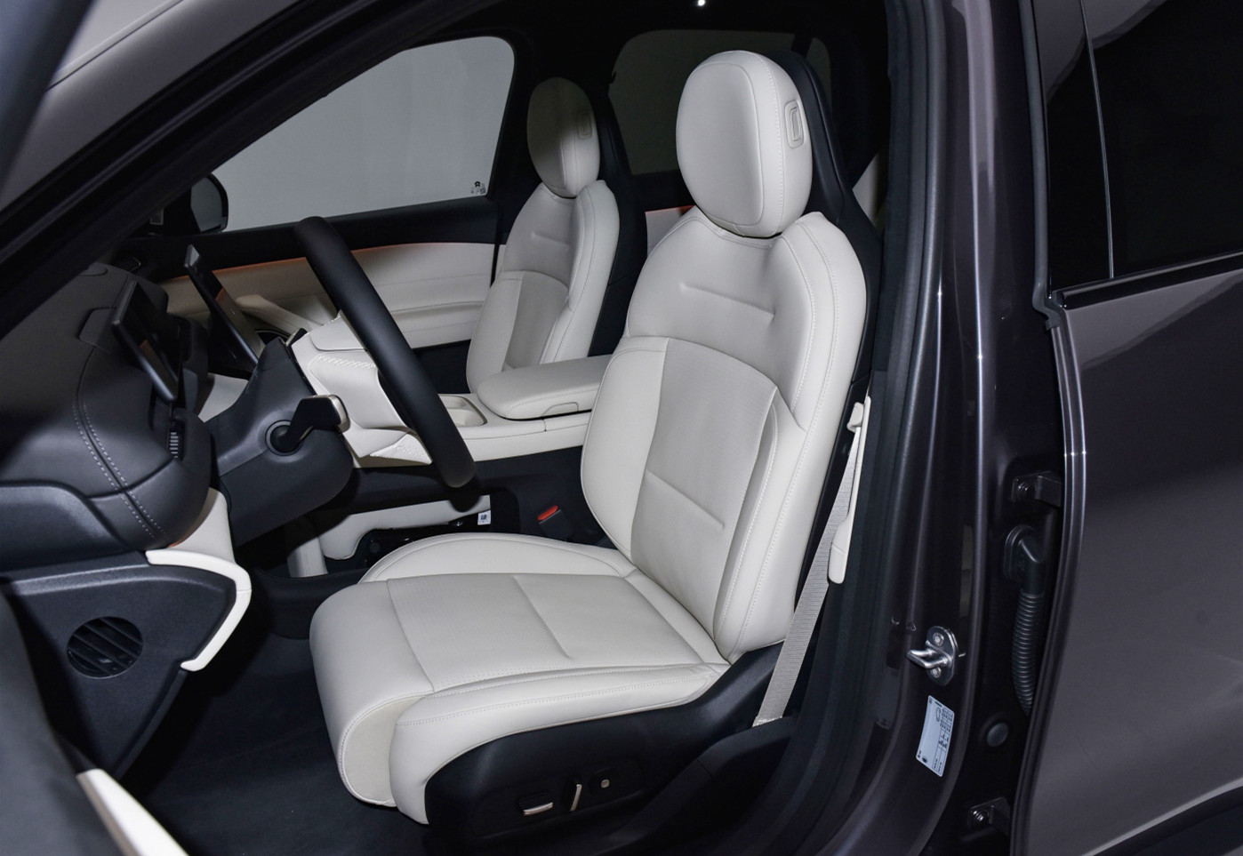 DENZA D9在马来西亚开放预订 或42.6万元起