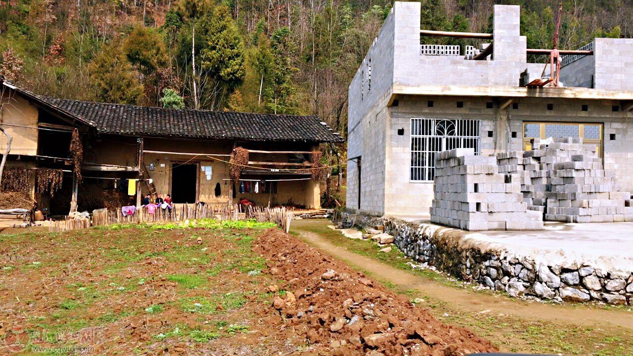 老家，才是传统豪华品牌真正的“护城河”