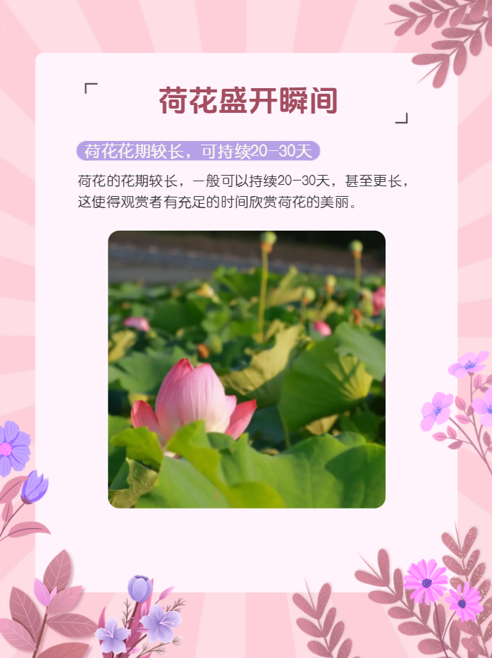 莲花旗下新款夏花和繁花上市，将搭载豆包AI助手