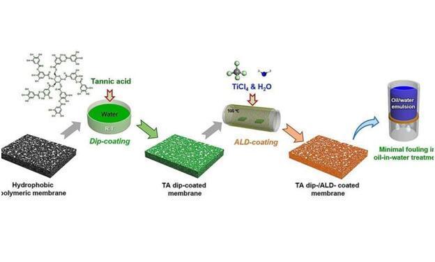解锁更安全的电池：阿贡实验室揭示全固态电池电解质材料关键见解