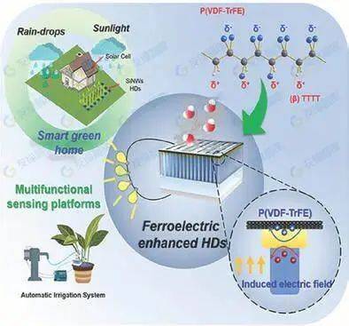 将污染物转化为电力：新方法将汽车排放中的碳纳米颗粒转化为可再生能源催化剂