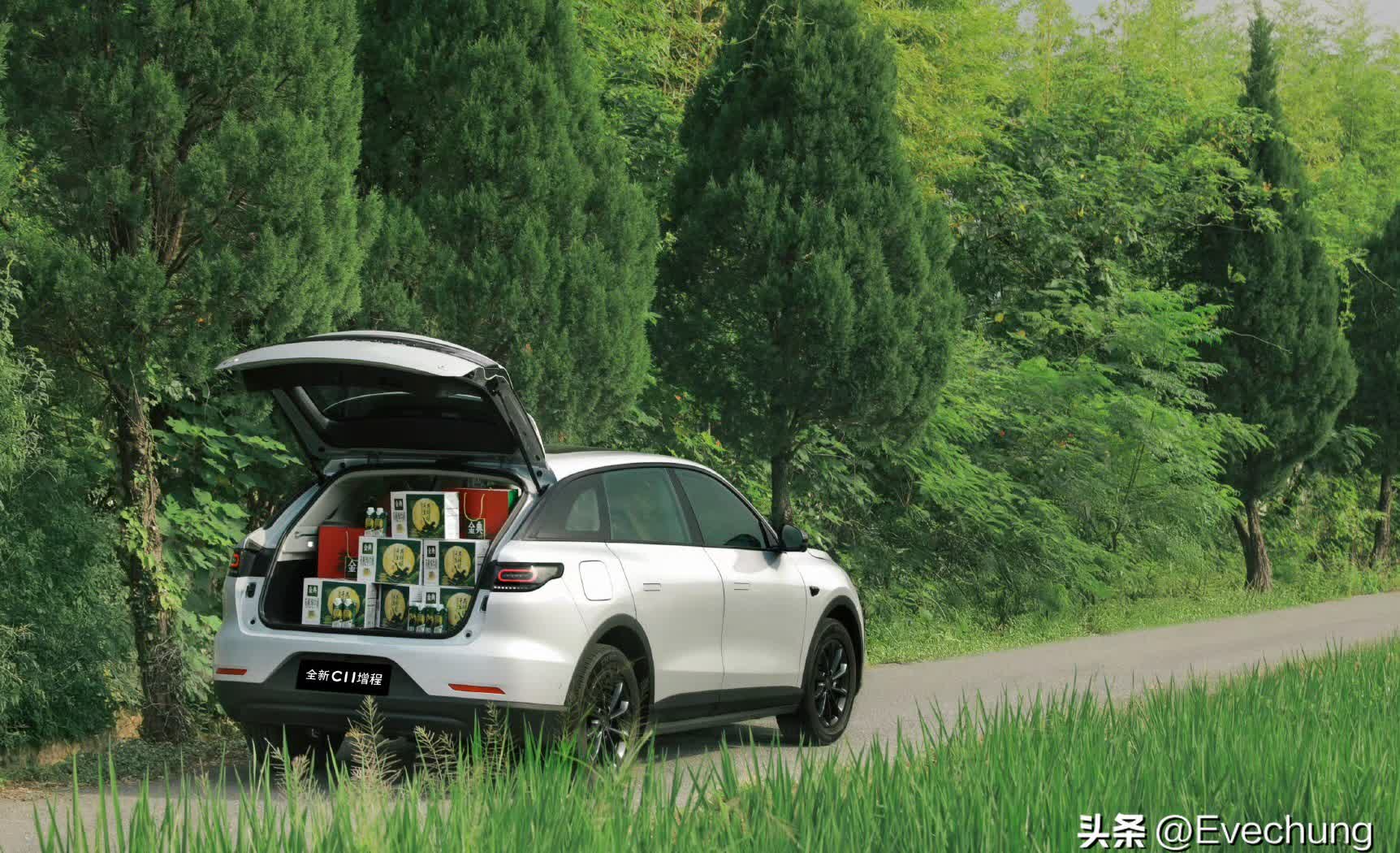 3月新势力格局再生变，零跑汽车勇夺冠