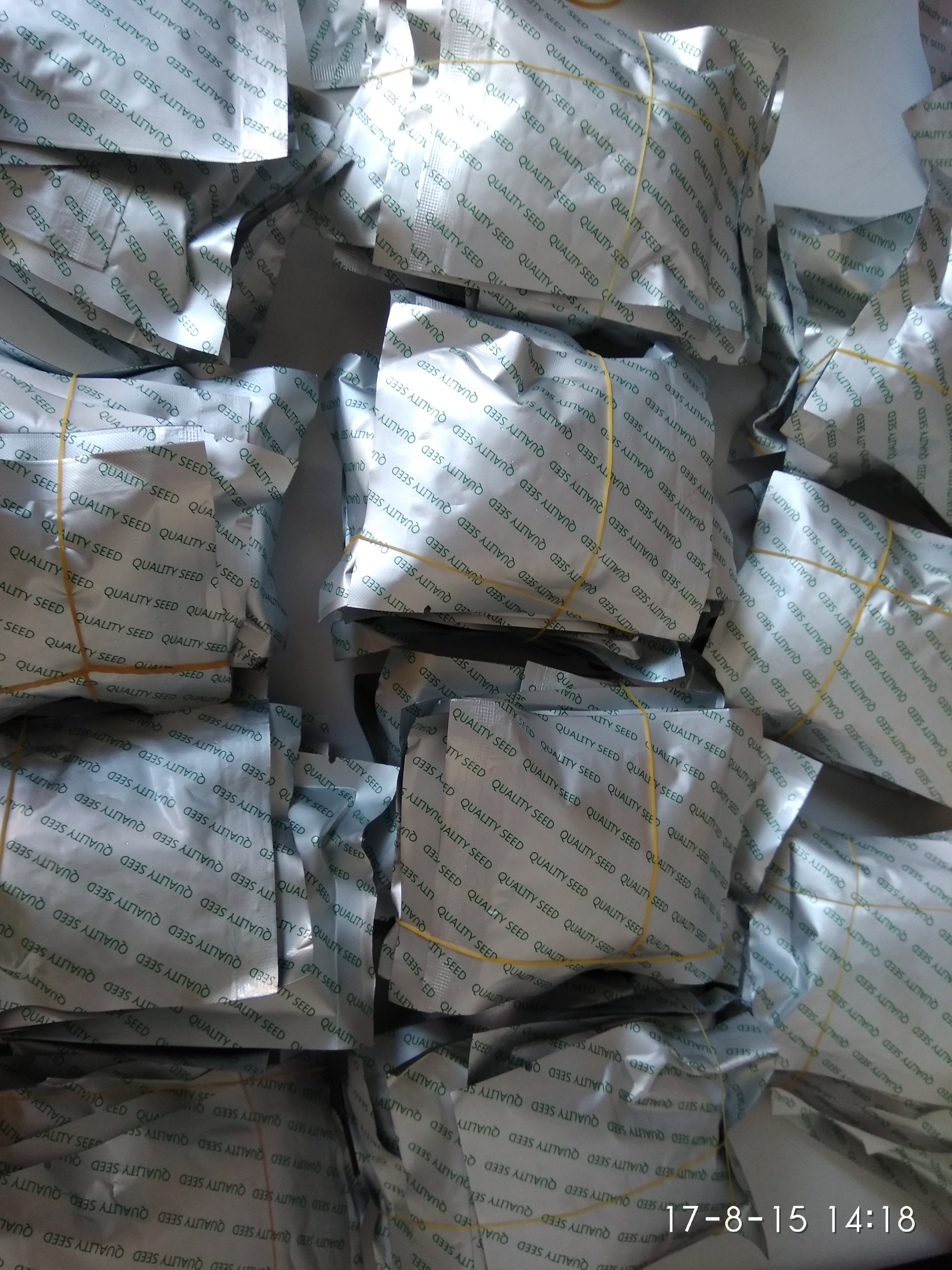 Seeds | 车规芯片企业“创晟”完成规模近亿元天使+轮融资