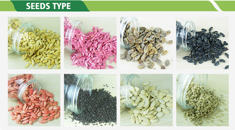 Seeds | 车规芯片企业“创晟”完成规模近亿元天使+轮融资