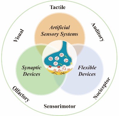 TUS开发出自供电人工突触 可模仿人类的彩色视觉