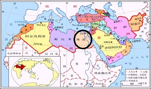 大众汽车集团考虑在埃及设厂生产汽车以销往非洲