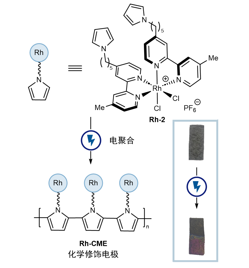 中国研究人员开发新设计策略 提升全固态离子选择电极的性能