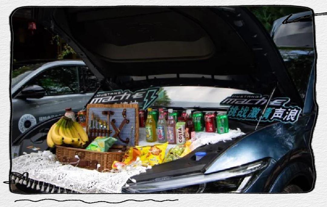 福特平价电动汽车将搭载更低成本电池