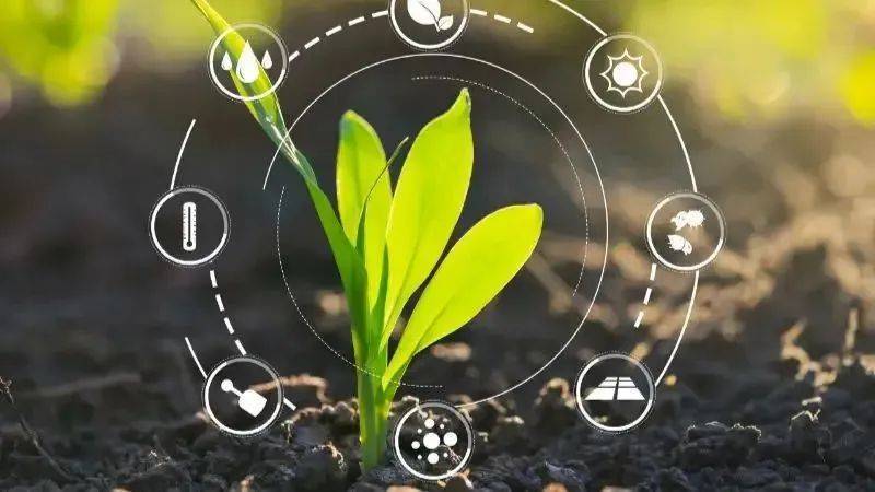 奔驰中国成立数字化与传播部，传统豪华品牌打响组织变革战