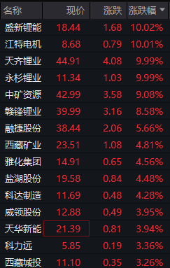 宁德时代暂停江西一座锂矿生产