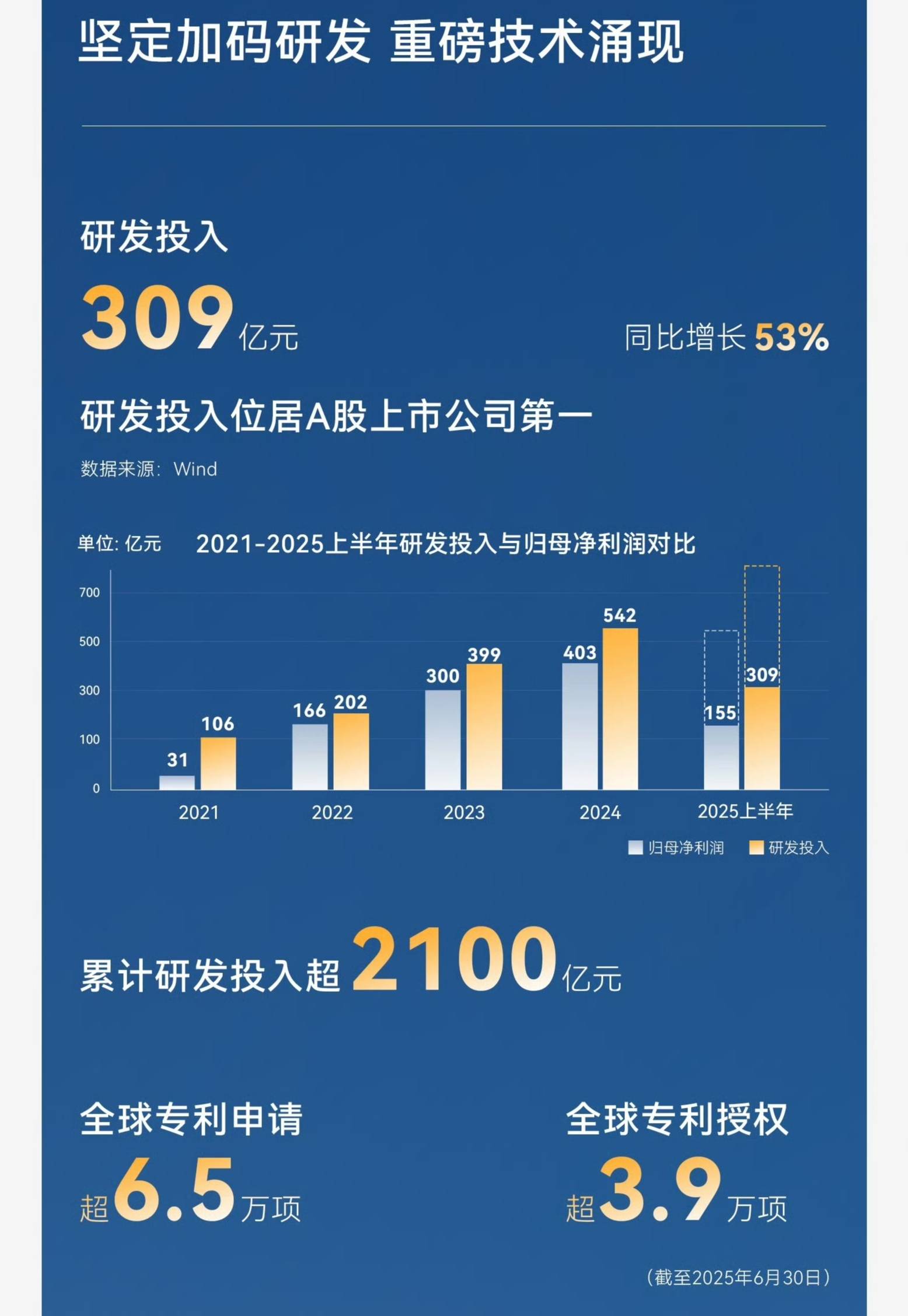 比亚迪2025半年报：营收3713亿，海外收入大增1.3倍
