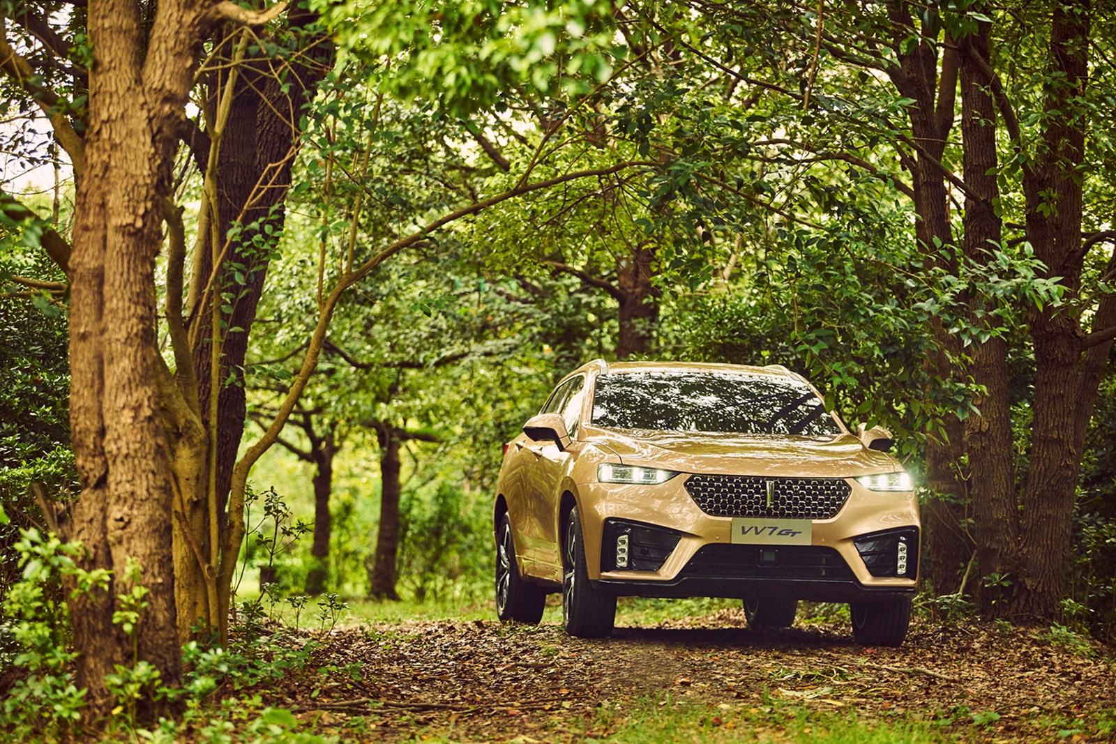 极星H1净亏损进一步扩大，但营收大涨