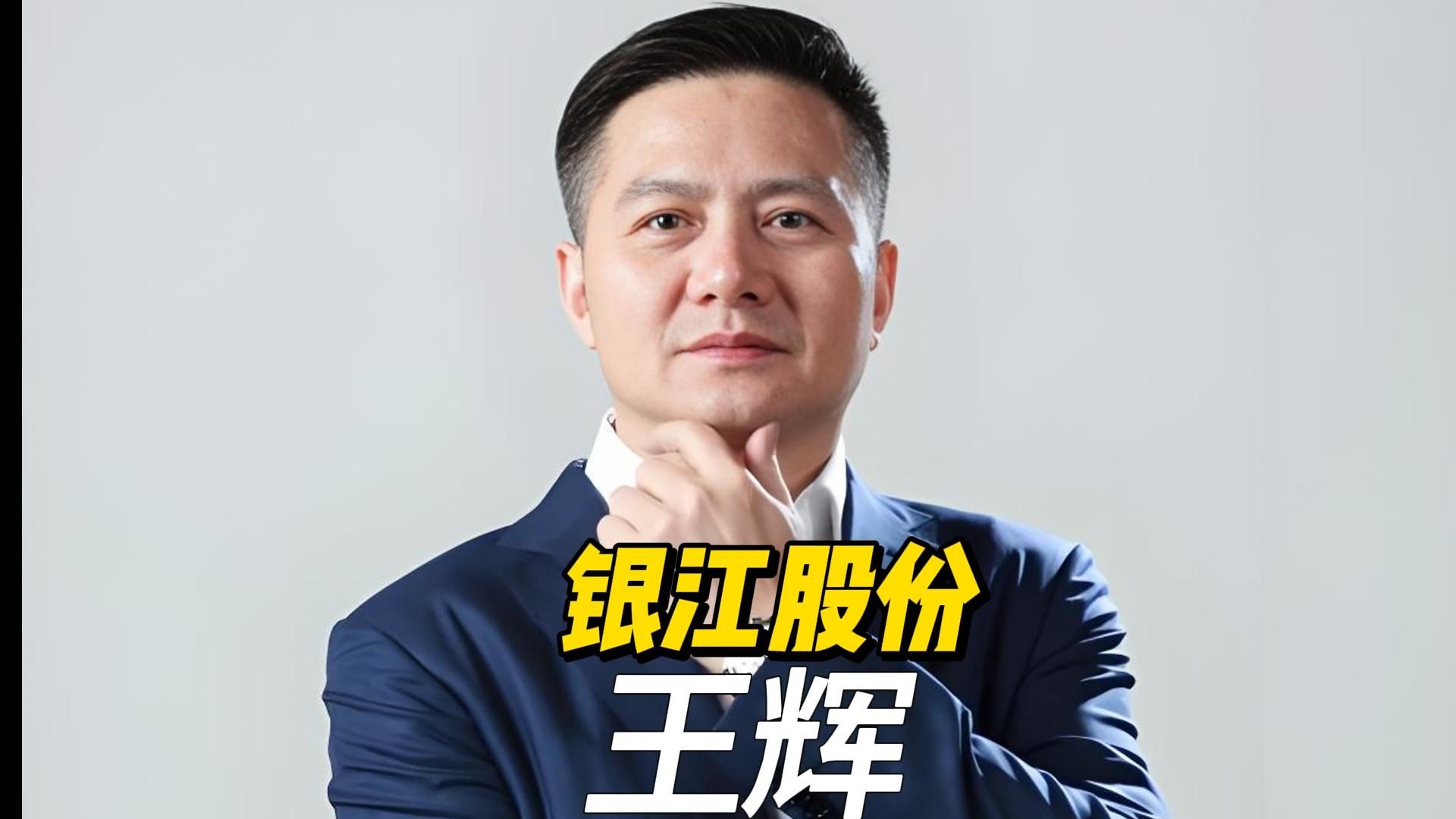 王辉出任阿维塔科技董事长