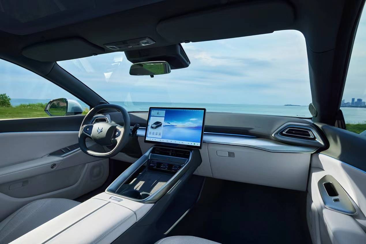 6.88万的极狐放下身段，瞄准星愿海豚就是干