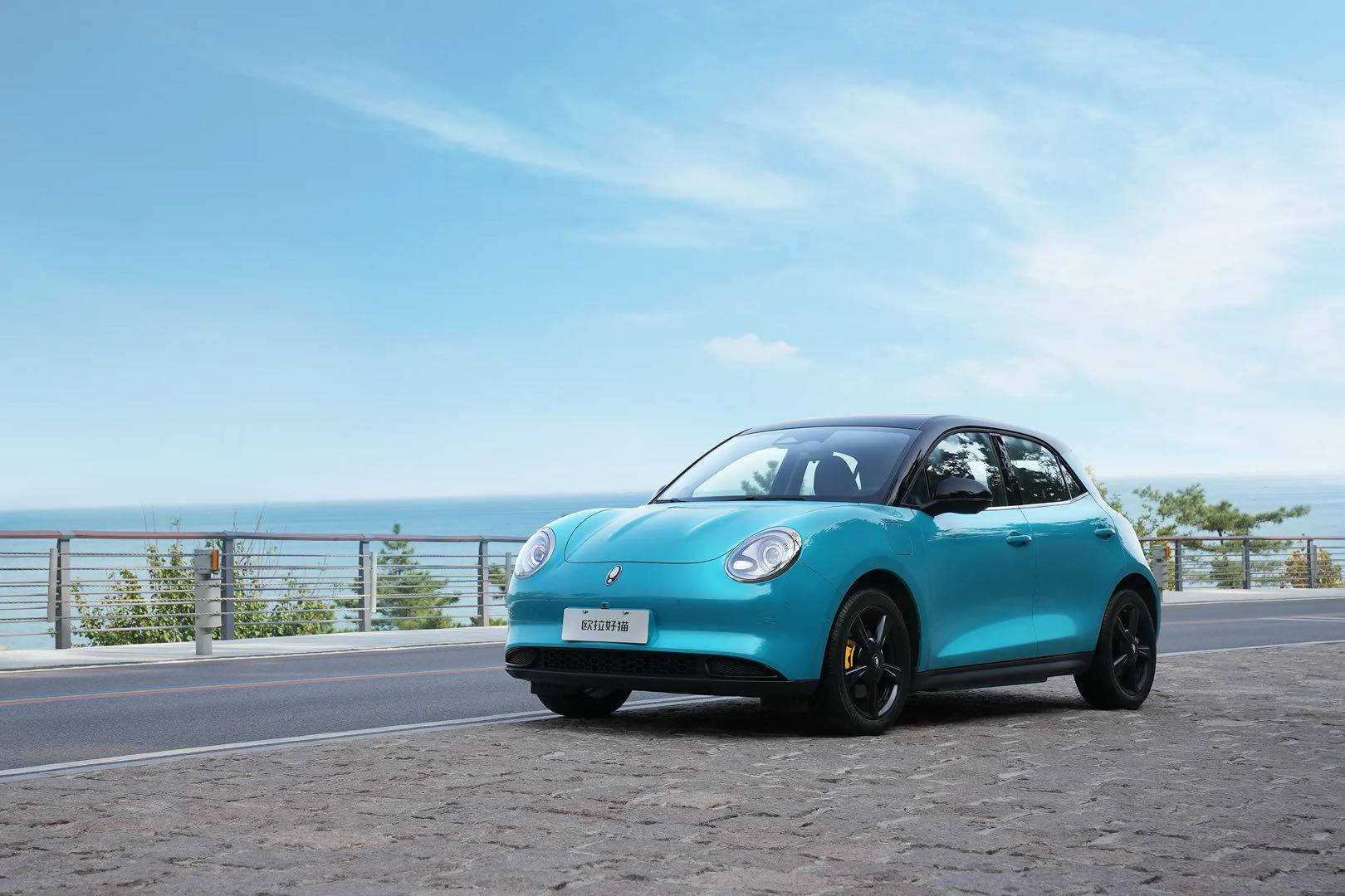 纯电小车买哪台？看这一篇就够了