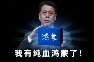 “合资品牌做不好智能化，是偏见”