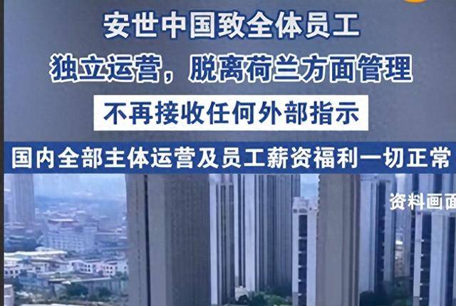 传安世半导体荷兰总部曾试图解雇另一中国高管