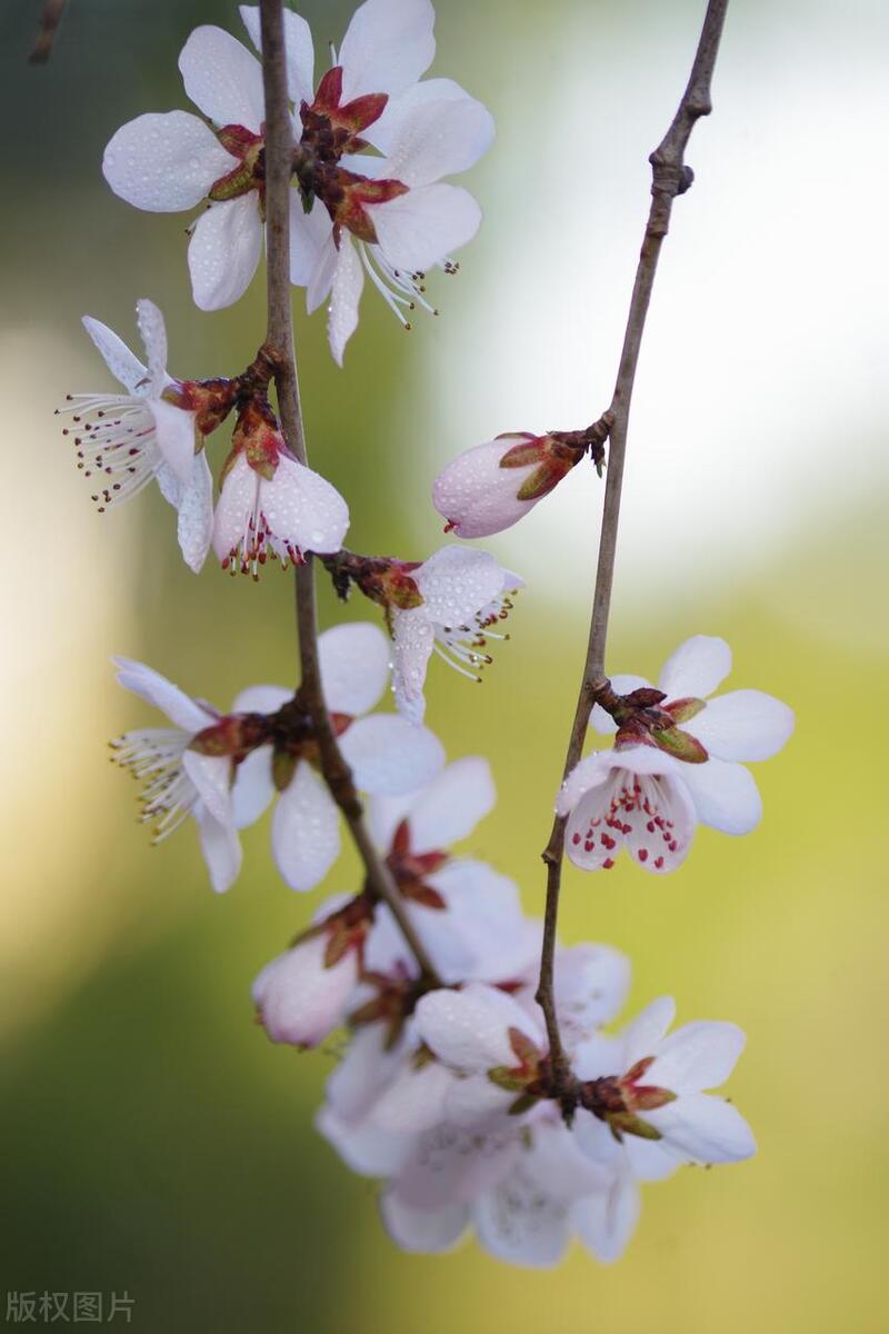上汽集团徐政：汽车产业的发展现状与未来展望