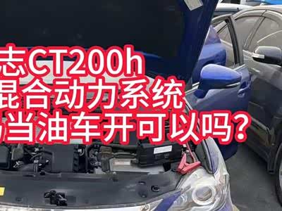1-10月动力电池装车量高速增长，但“双王”份额继续下滑