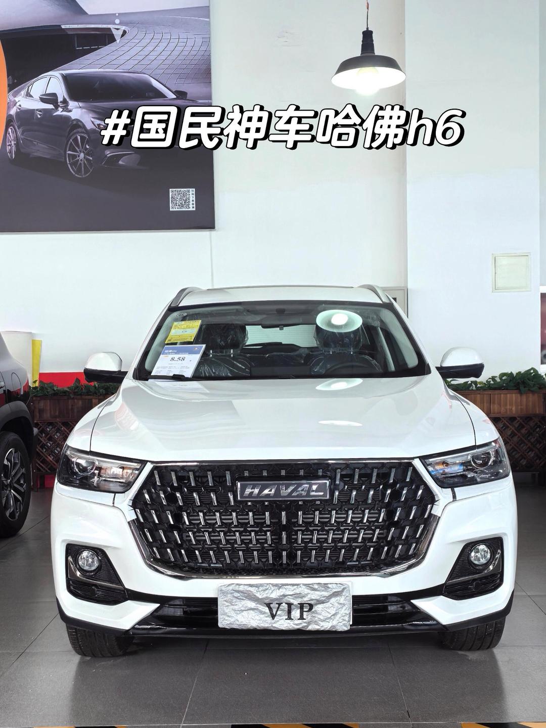 哈弗H6L上市，限时售价10.39万元起