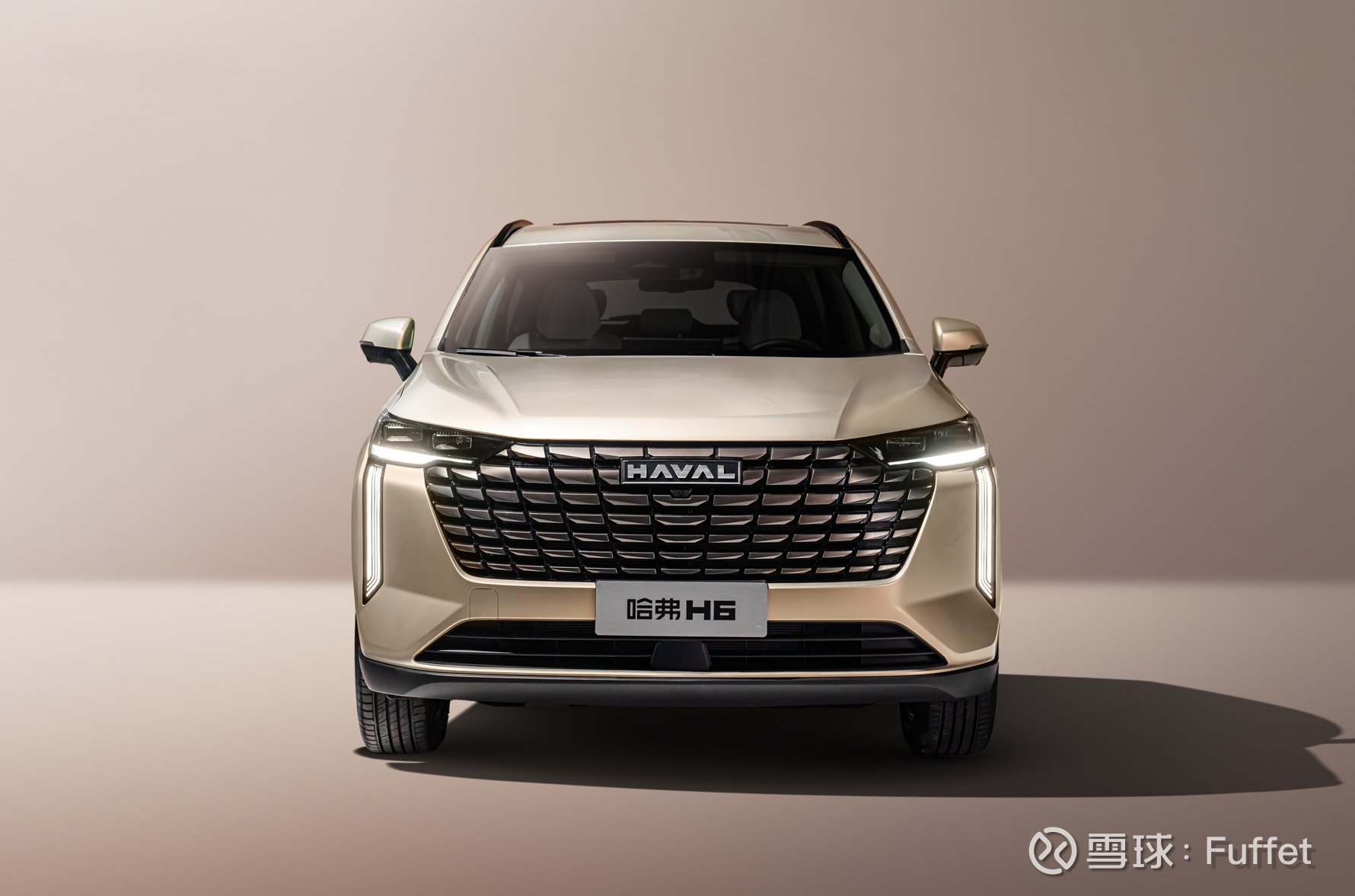 长城汽车：长城汽车在智能底盘开发方面思考及实践