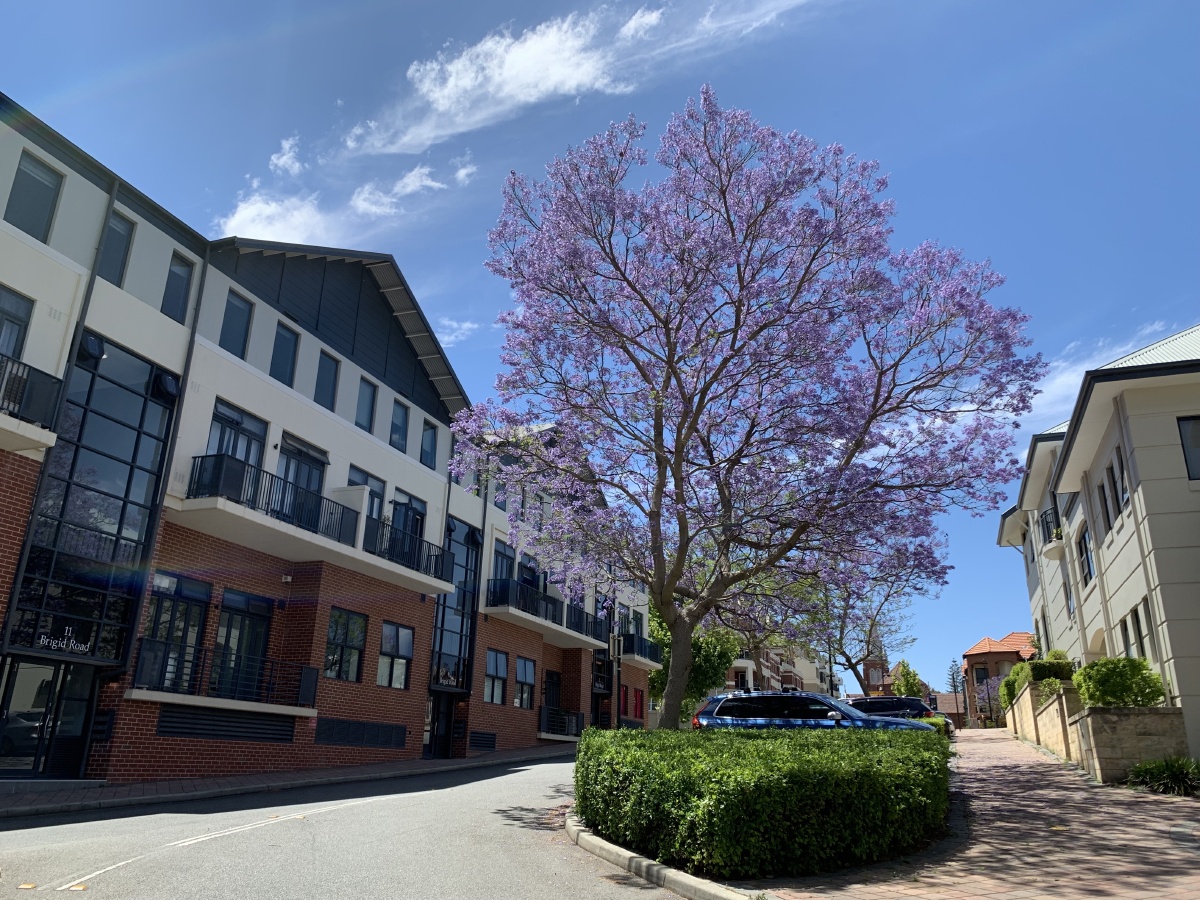 Seeds | 山东具身智能重点企业,融了近亿元