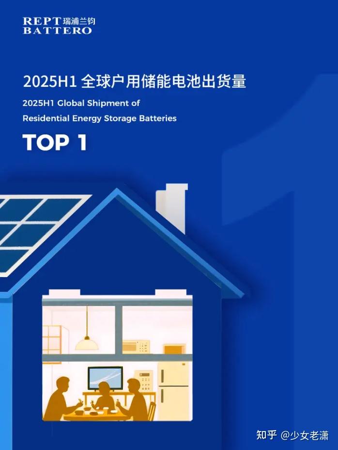 三线并举，陆空并进：瑞浦兰钧开启全球化、多元化增长新周期