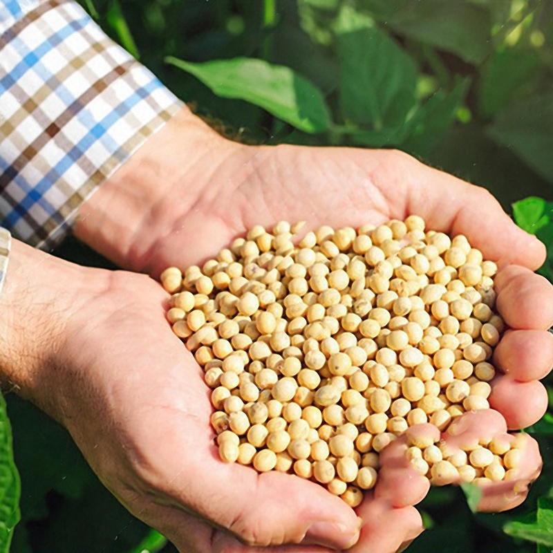 Seeds | 再获2亿元A2轮融资,极佳视界3个月连融5亿