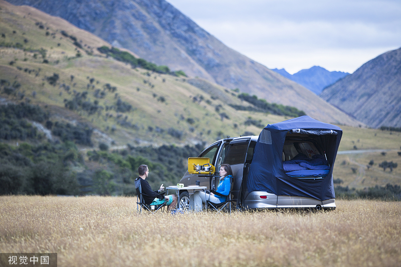 安永:燃油车全球人气回升