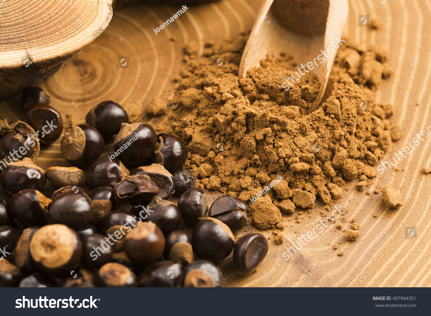 Seeds | 小米再次加码,萝博派对完成种子+轮融资