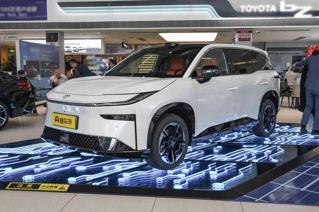 谁在重塑纯电市场？TOP10车型来解答｜看见2025