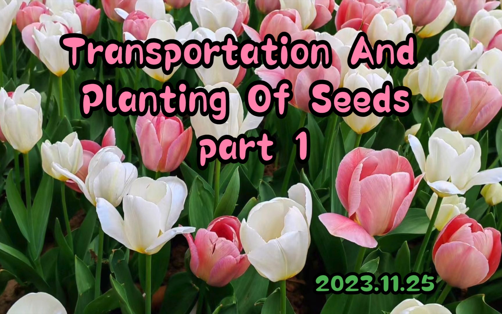 Seeds | 可以科技完成新一轮近亿元融资