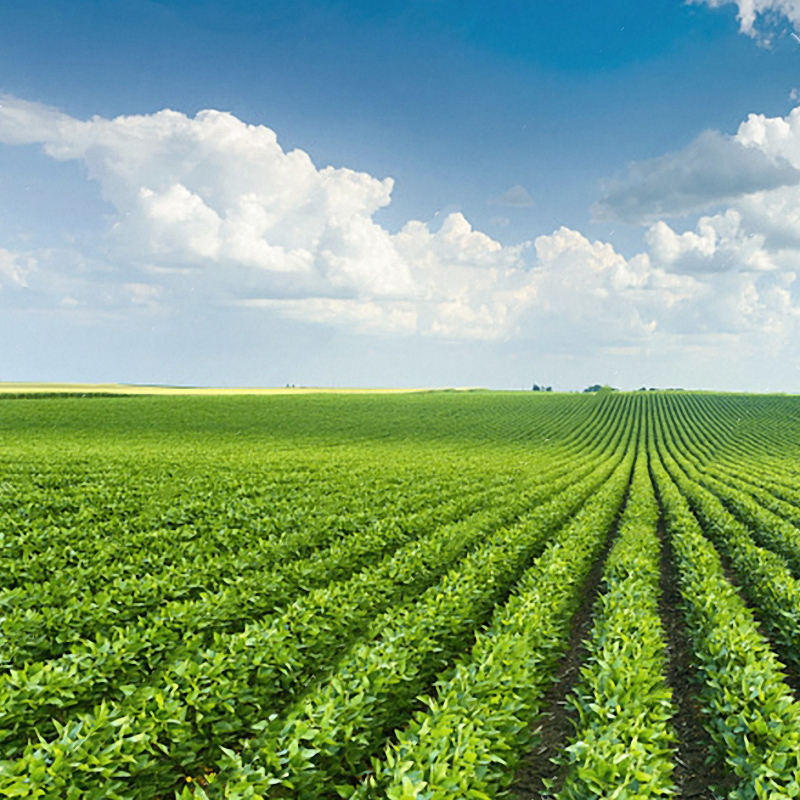 Seeds | 未来不远完成2亿元天使轮融资