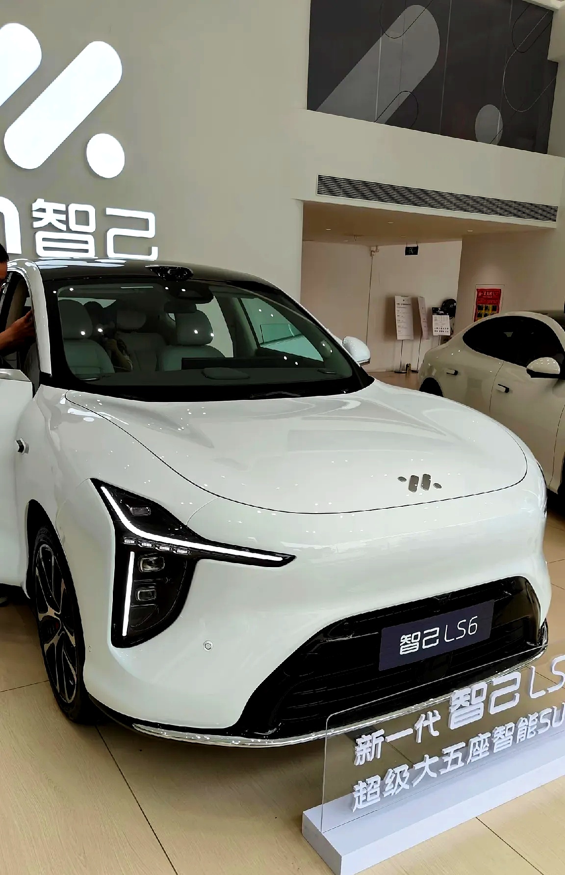 2025最好卖的车!星愿登顶,宏光MINIEV险胜Model Y,小米SU7实至名归?