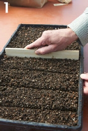 Seeds | 小米前高管创业,获高瓴、智元等数千万投资