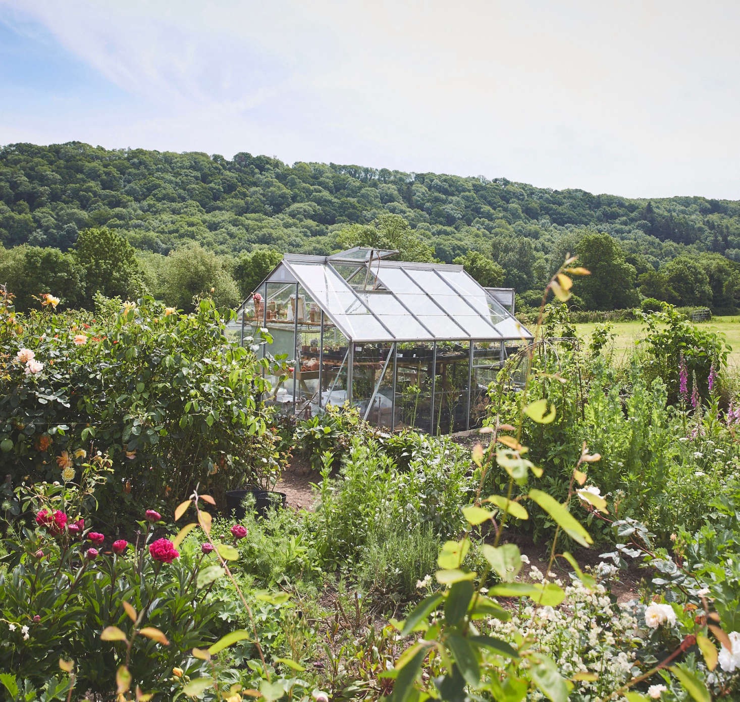 Seeds | 小米前高管创业,获高瓴、智元等数千万投资