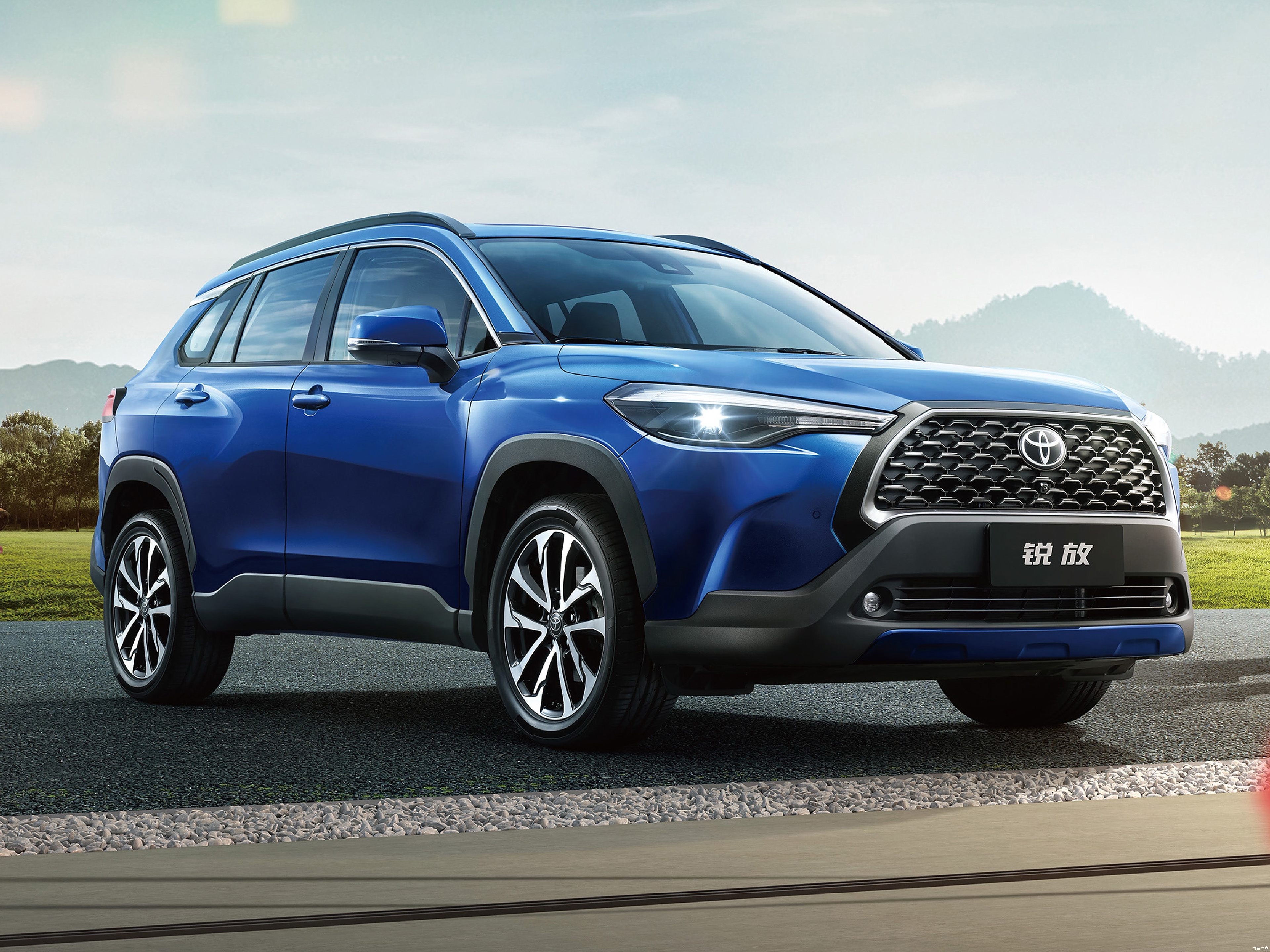 新能源领跑,自主品牌加速崛起丨2025年轿车/SUV车型销量榜