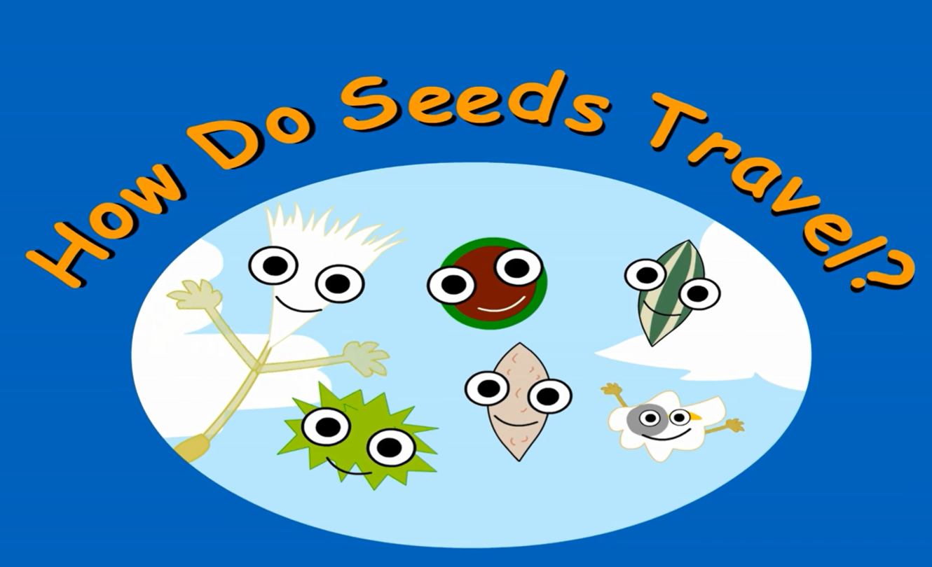 Seeds | 人形机器人公司Apptronik获5.2亿美元融资，谷歌、奔驰参投