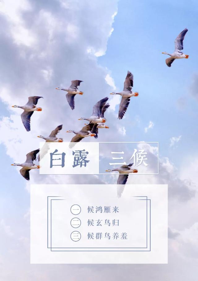 节气物候图鉴:白露至凉意生 全国玉露生凉地图看哪里率先迎秋凉